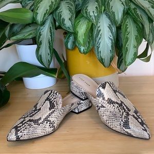 Cole Haan Piper Women’s Mules Rocco’s Snakeskin print. Size 8.5